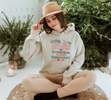 Documentaries or Christmas Movies Hoodie